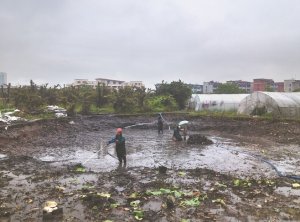 苏州河道鱼塘清淤